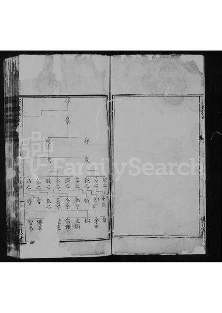 广东林氏族谱-书楼林氏世系.pdf电子版预览图2