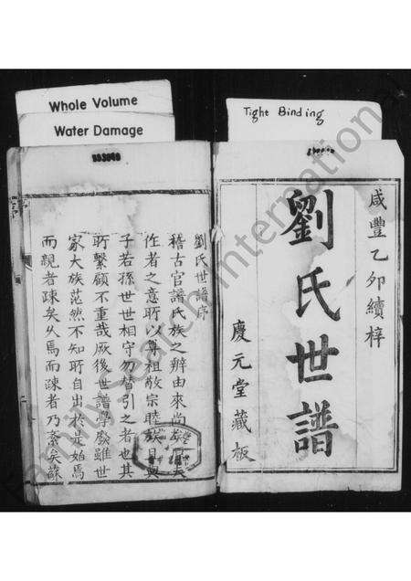 河南刘氏族谱-刘氏世谱 [4卷].pdf电子版预览图2