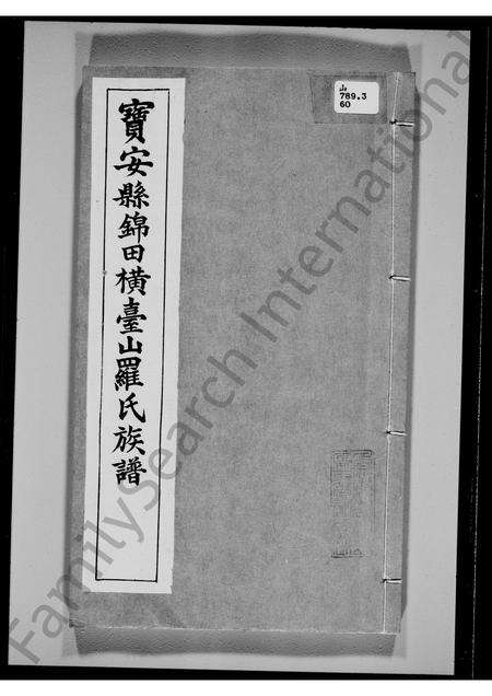 广东罗氏族谱-宝安县锦田横台山罗氏族谱.pdf电子版预览图2