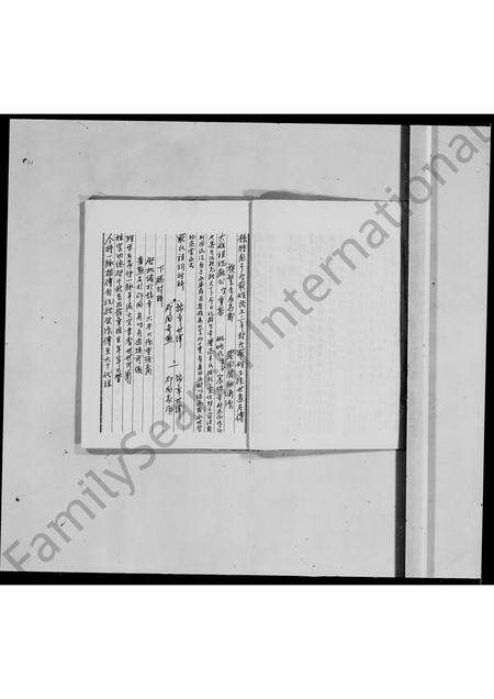 江西、广东罗氏族谱-罗氏历代族谱.pdf电子版预览图2