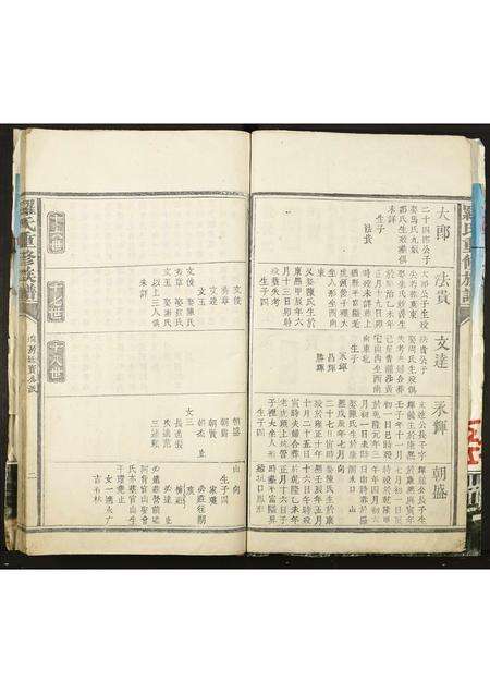 广东罗氏族谱-罗氏重修族谱.pdf电子版预览图2