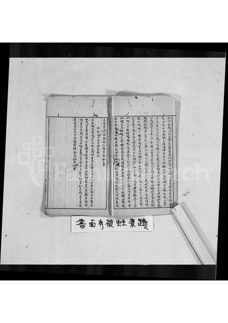 广东罗氏族谱-普宁南径罗氏族谱.pdf电子版预览图2