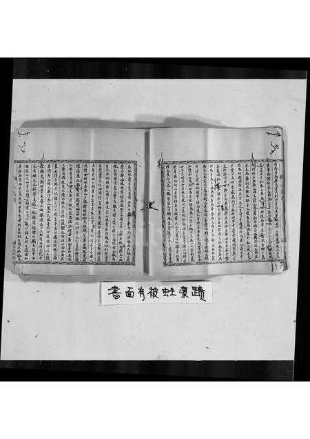 广东罗氏族谱-罗氏族谱.pdf电子版预览图2