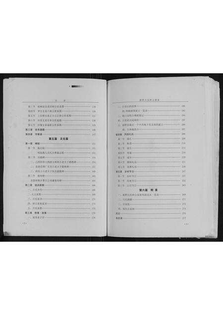 河南吕氏族谱-新野吕氏钟公谱系.pdf电子版预览图2