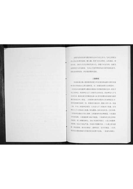 河南马氏族谱-开濮曹徐马氏家族轶事[不分卷].pdf电子版预览图2