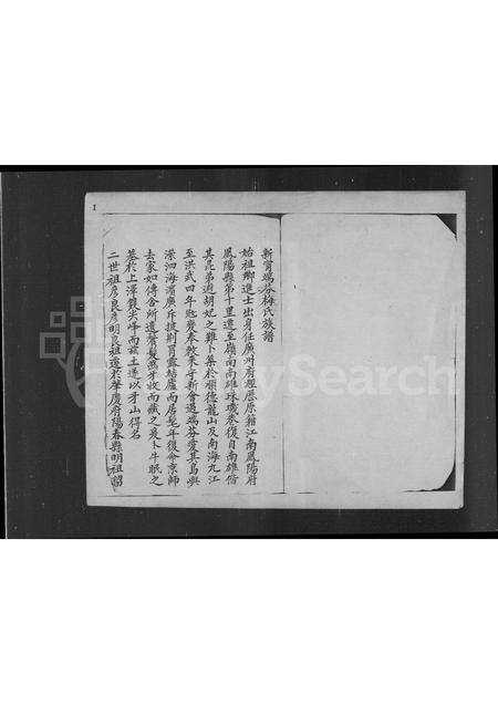 广东梅氏族谱-新宁端芬梅氏族谱.pdf电子版预览图2