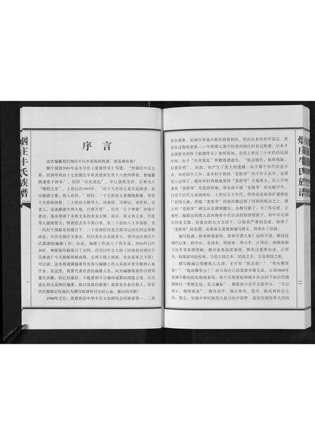 河南牛氏族谱-牛氏族谱.pdf电子版预览图2