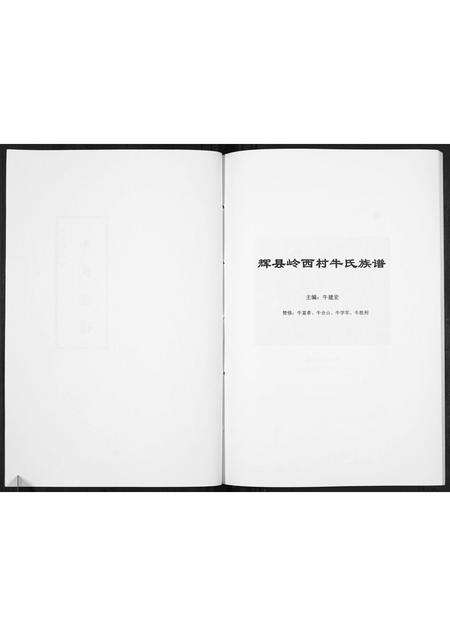 河南牛氏族谱-牛氏族谱[不分卷].pdf电子版预览图2