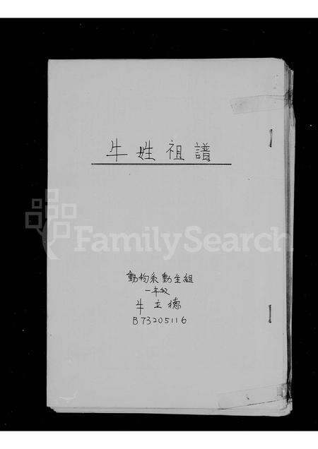 河南牛氏族谱-牛姓祖谱.pdf电子版预览图2