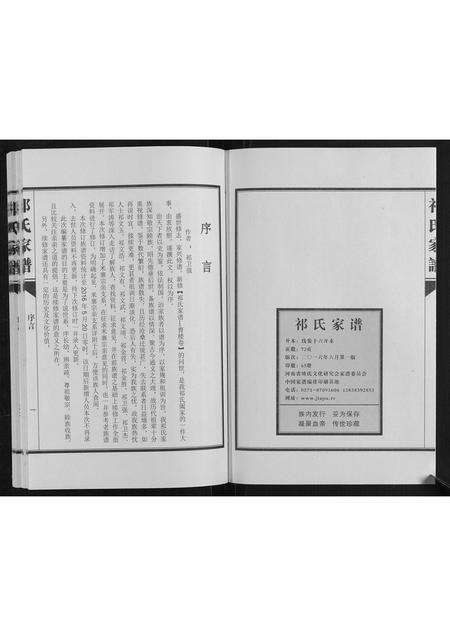 河南祁氏族谱-祁氏家谱[不分卷].pdf电子版预览图2