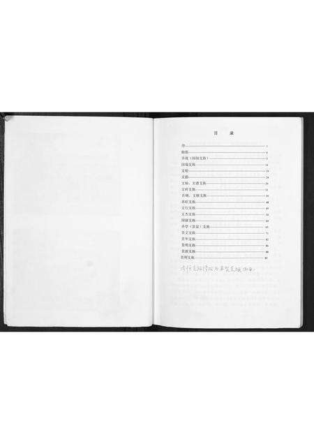 河南齐氏族谱-齐恒支族家谱.pdf电子版预览图2
