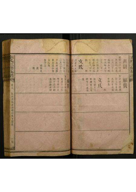 广东秦氏族谱-秦氏三修族谱.pdf电子版预览图2