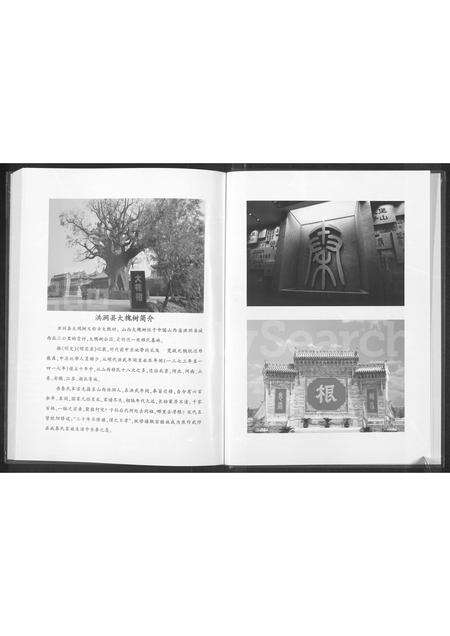 河南秦氏族谱-秦氏家谱 [不分卷].pdf电子版预览图2