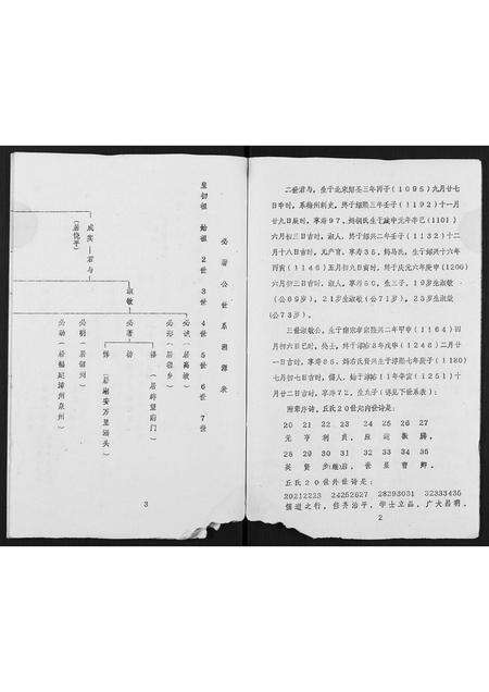 广东丘氏族谱-丘氏成实祖世系.pdf电子版预览图2