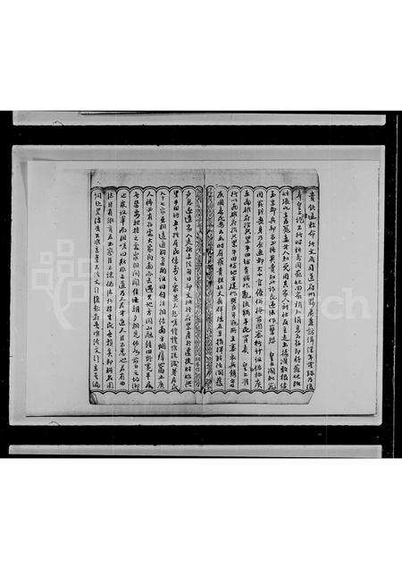 广东阮氏族谱-新宁塘头塘基村阮氏谱.pdf电子版预览图2