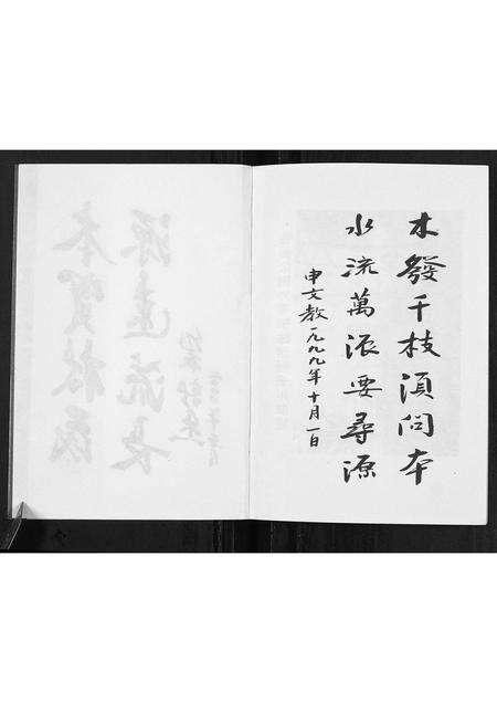 河南申氏族谱-申氏族谱.pdf电子版预览图2