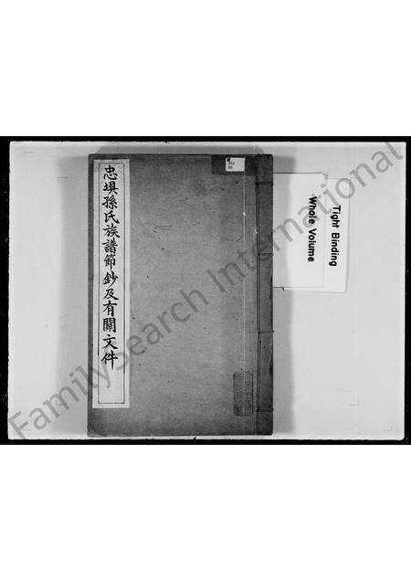 广东孙氏族谱-忠埧孙氏族谱节钞及有关文件.pdf电子版预览图2