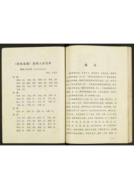 河南孙氏族谱-孙氏家谱.pdf电子版预览图2