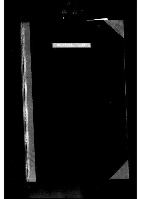 广东谭氏族谱-谭氏家谱.pdf电子版预览图2