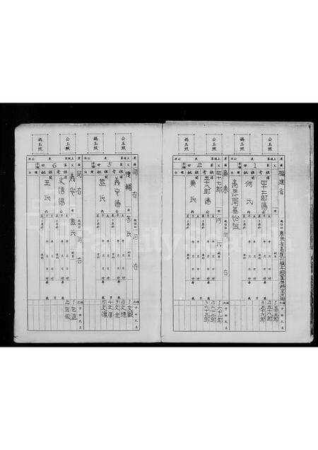 广东汤氏族谱-[汤氏家谱].pdf电子版预览图2