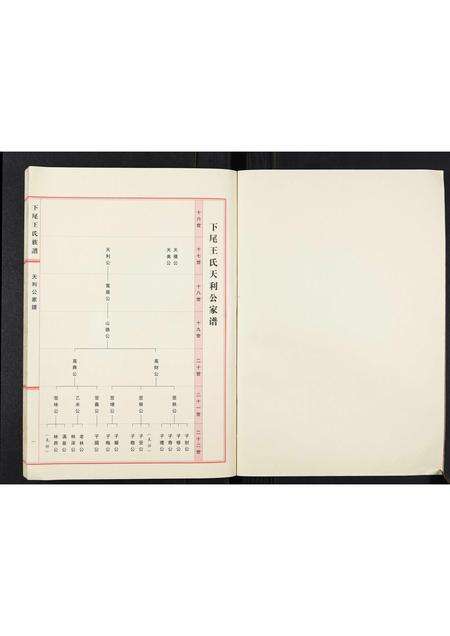 广东王氏族谱-下尾王氏族谱.pdf电子版预览图2