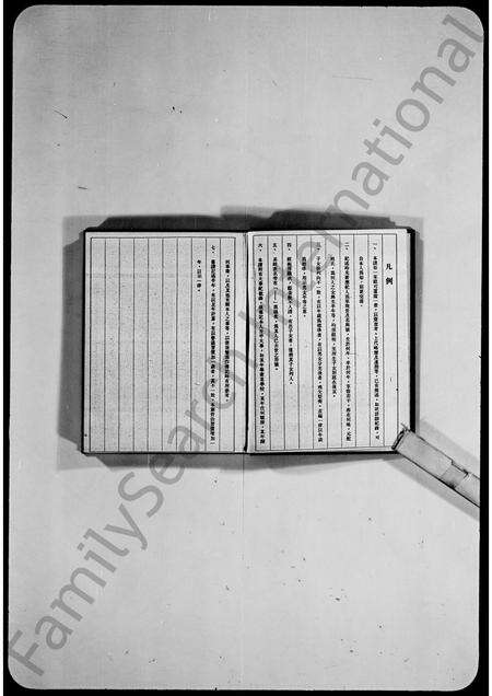 广东王氏族谱-东莞虎门王氏家谱.pdf电子版预览图2