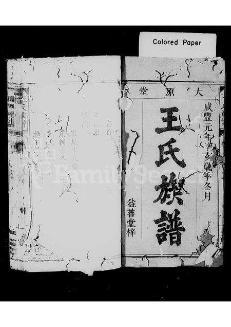 江西、广东、福建王氏族谱-王氏族谱 [3卷,首2卷].pdf电子版预览图2