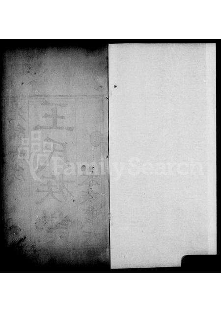 河南王氏族谱-汤阴王氏族谱 [4卷].pdf电子版预览图2