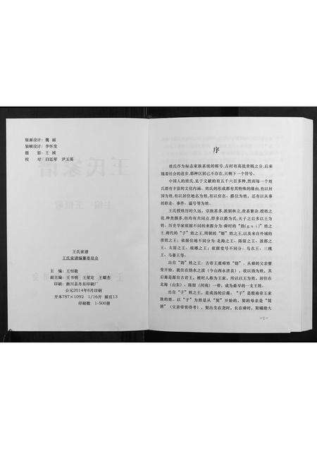 河南王氏族谱-王氏家谱.pdf电子版预览图2