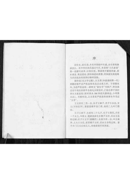 河南王氏族谱-王氏家谱[不分卷].pdf电子版预览图2