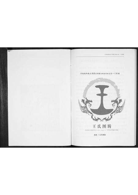 河南王氏族谱-王氏家谱[不分卷].pdf电子版预览图2