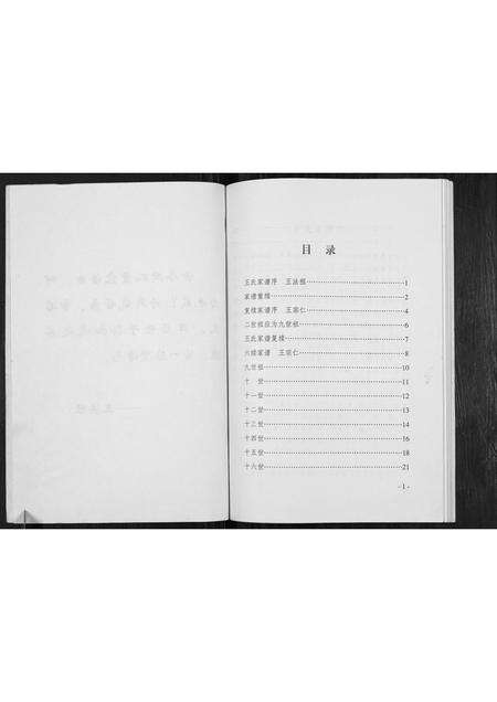 河南王氏族谱-王氏族谱.pdf电子版预览图2