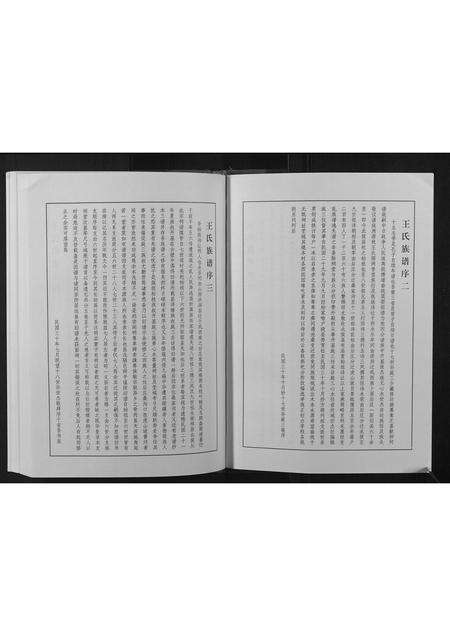 河南王氏族谱-王氏族谱.pdf电子版预览图2