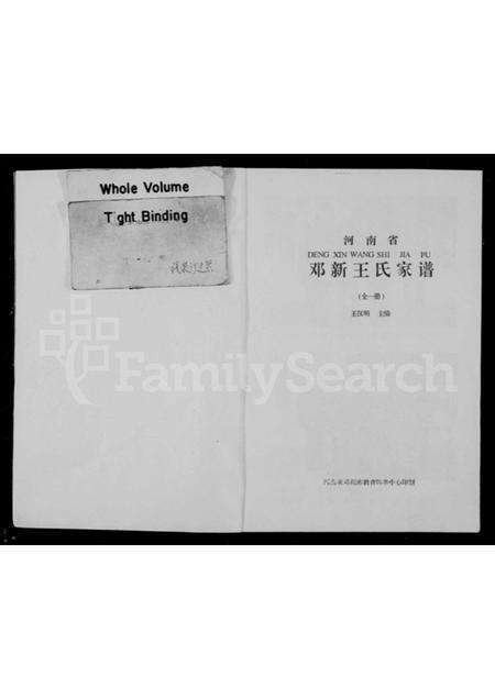 河南王氏族谱-邓新王氏家谱.pdf电子版预览图2