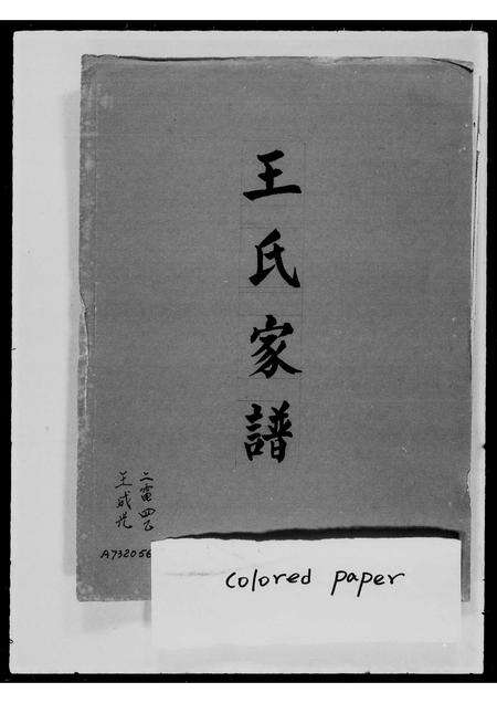 河南王氏族谱-王氏家谱.pdf电子版预览图2