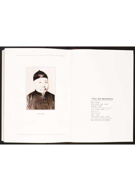 广东未知族谱-隆都大巷陈氏族谱.pdf电子版预览图2