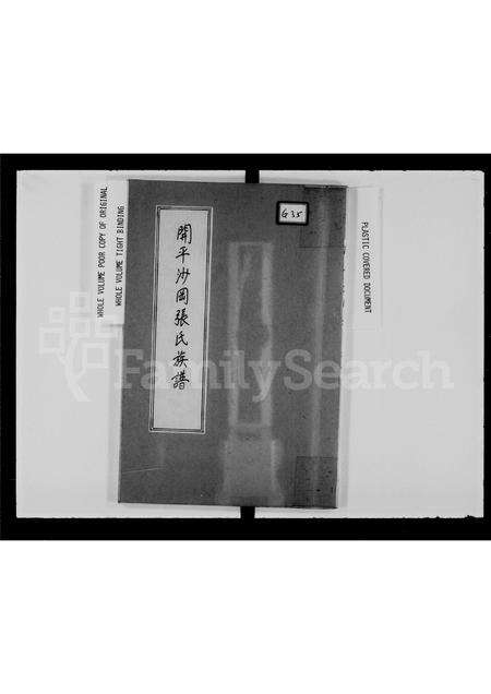 广东未知族谱-开平沙冈张氏族谱.pdf电子版预览图2