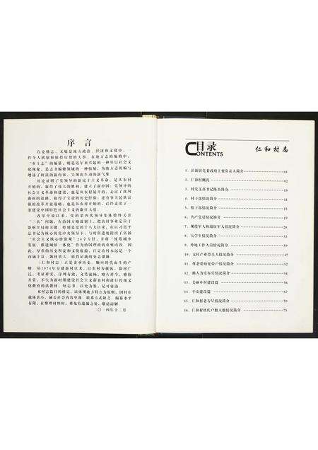河南未知族谱-仁和村志.pdf电子版预览图2