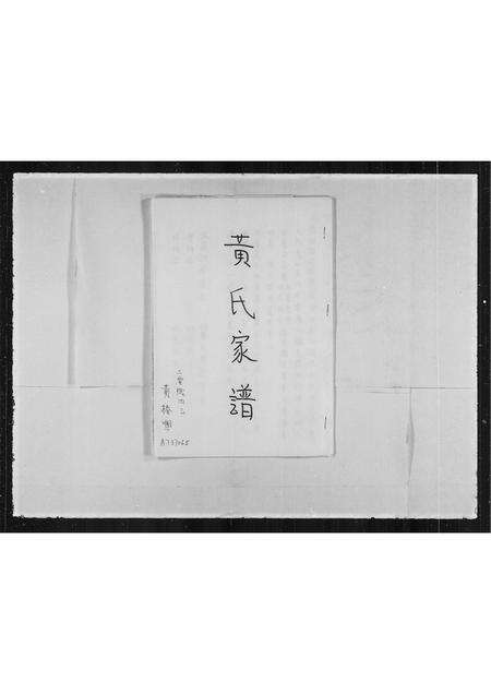 广东魏氏族谱-[魏氏]家谱.pdf电子版预览图2