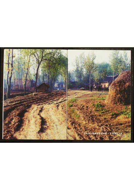 河南魏氏族谱-魏氏族谱.pdf电子版预览图2