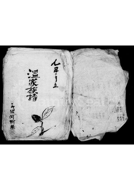 广东温氏族谱-温家族谱.pdf电子版预览图2