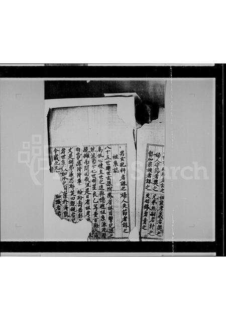 广东温氏族谱-温氏族谱.pdf电子版预览图2