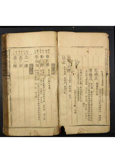 广东伍氏族谱-安定伍氏重修族谱.pdf电子版预览图2