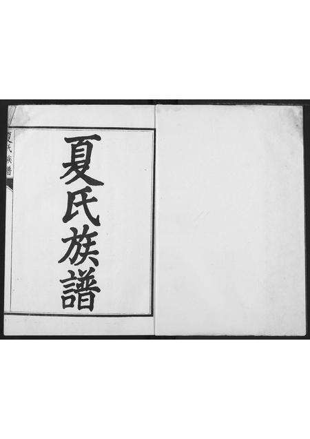 河南夏氏族谱-夏氏族谱.pdf电子版预览图2