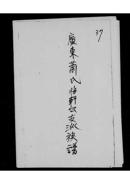 广东萧氏族谱-广东萧氏梅轩公支派族谱.pdf电子版预览图2