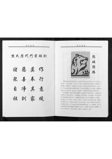河南熊氏族谱-熊氏族谱.pdf电子版预览图2