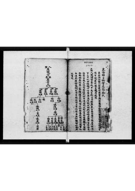 广东徐氏族谱-东海徐氏谱畧 [不分卷].pdf电子版预览图2