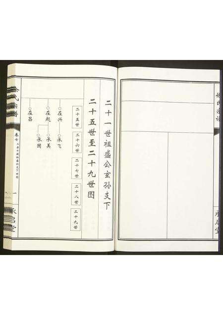 河南徐氏族谱-徐氏宗谱.pdf电子版预览图2