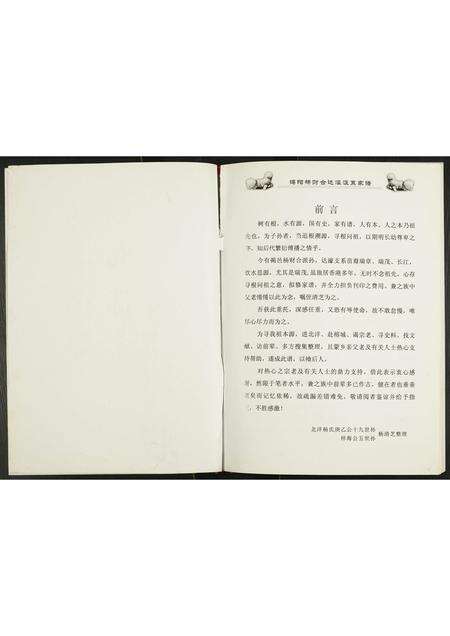 广东杨氏族谱-揭阳杨财合达濠派系家谱.pdf电子版预览图2