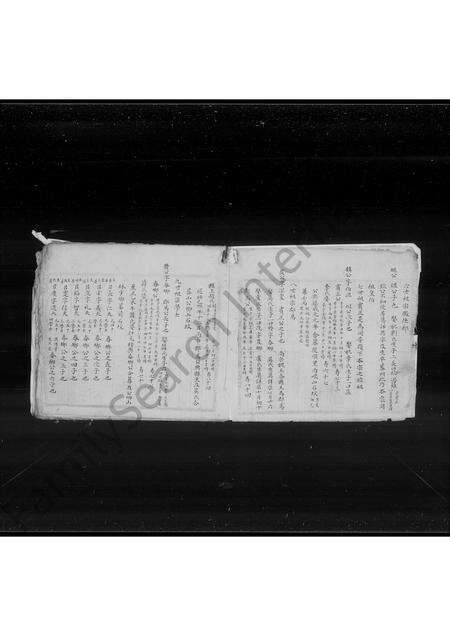 广东、福建叶氏族谱-[佛岭]叶氏族谱.pdf电子版预览图2